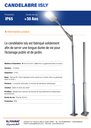 CANDELABRE ECLAIRAGE PUBLIC ACIER GRIS 4M